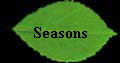 Seasons