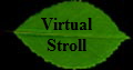 Virtual
Stroll