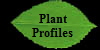 Plant 
  Profiles