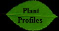   Plant
 Profiles