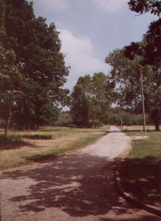 S10
