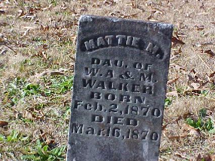 Text description