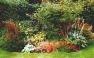 tea bed