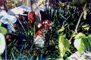 Gnome home
