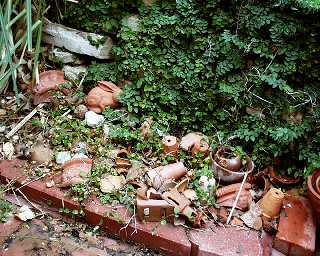 Crockery Rockery