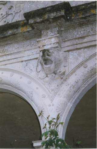gutter guardian