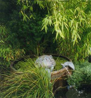 pond peeker