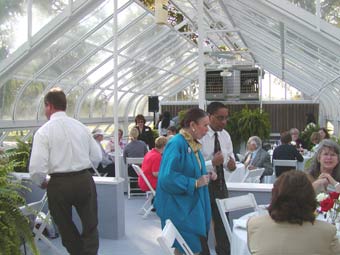 conservatory tea