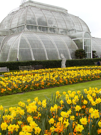 Kew tropic house