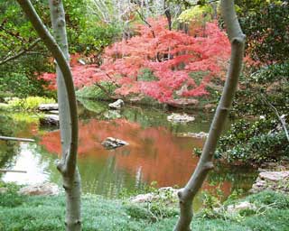 Japanese Gardens