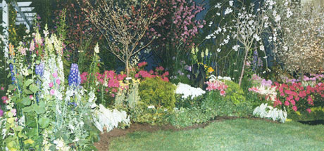 springtime border