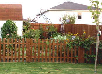 Becky's garden