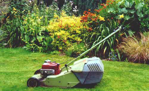 mower