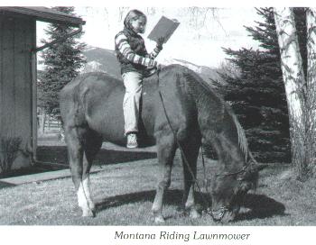 montana mower