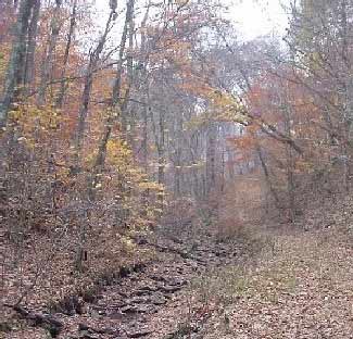 fall creek bed