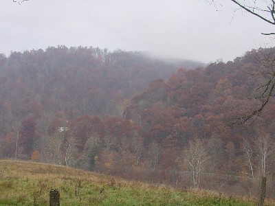 mist on mountain