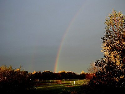 Rainbow01.jpg