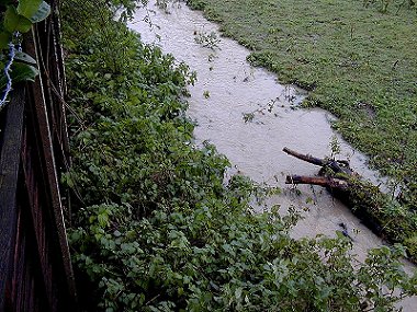 Stream01.jpg