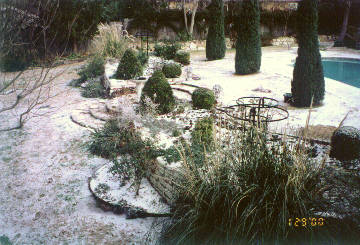 winter