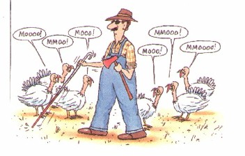 Text description