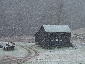 asnow