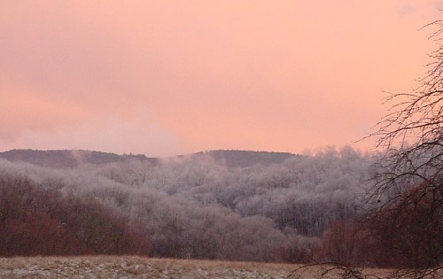 mtview2