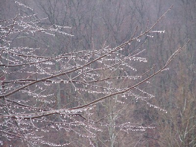 ice