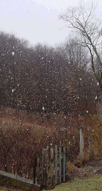 snow