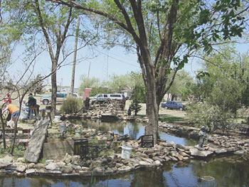 pond before