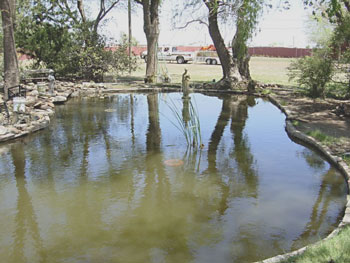 pond after