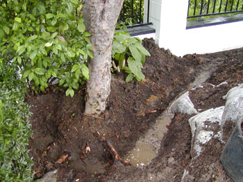 French Drain