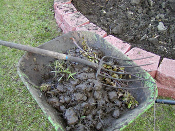 mud clods