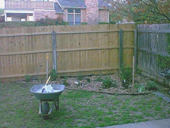 birdbath bed before