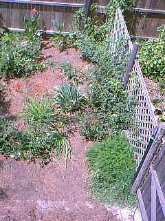 aboveview