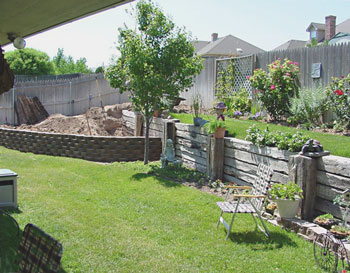 new pond progress