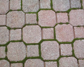 pavers