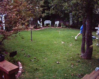 pond before