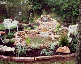 pond after