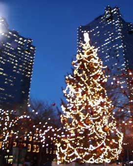Ft. Worth Tree