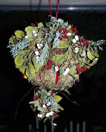 mistletoe