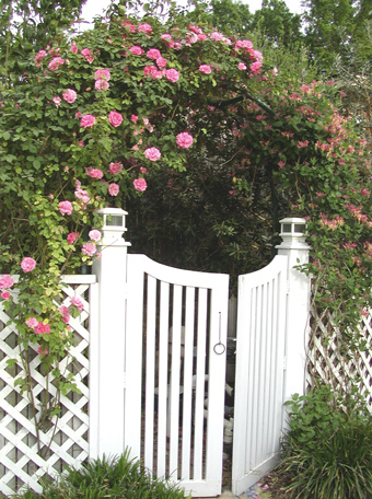 rose gate