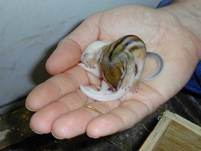 TwoInTheHand01.jpg