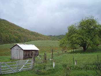 spring scene
