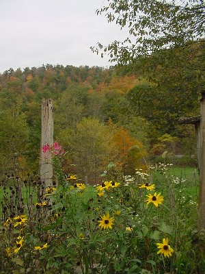 fall garden