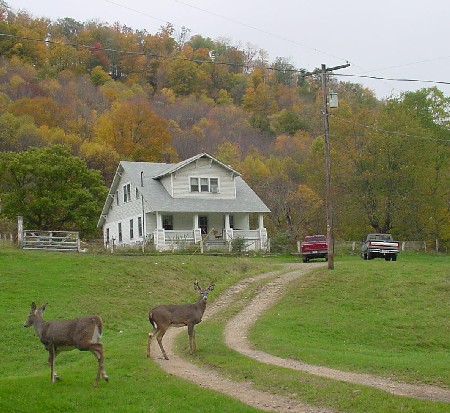 house