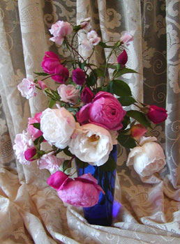roses