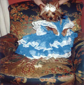 text description