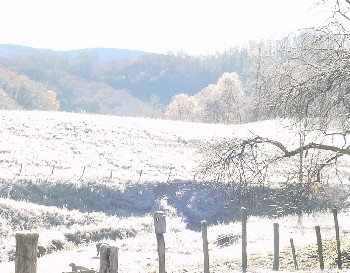 frostymorn
