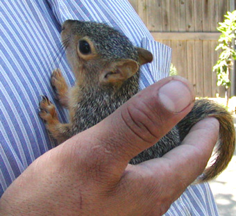 Carlos and Gerald