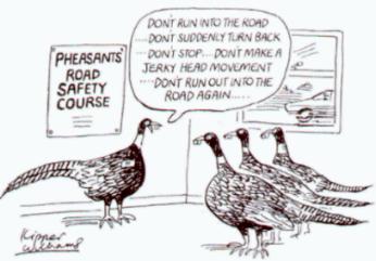 road drill